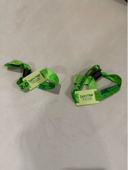 2 Sunday GA Daytrip Wristbands