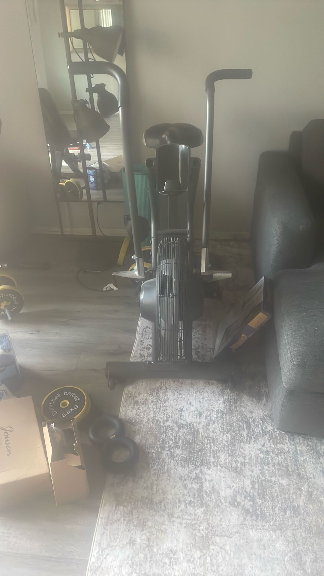 Schwinn Exercise Bike