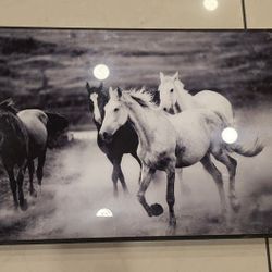 Art Horses Frame 