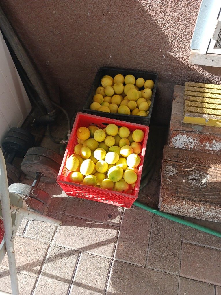 Seedless Lemons
