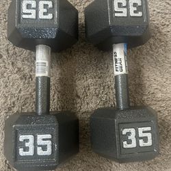 35lb Dumbbells 