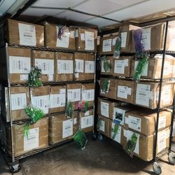 Decorative Plastic Plants For Fish Tank/aquarium/terrarium