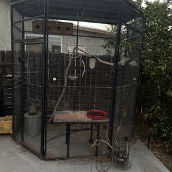 Walk In Bird Cage 
