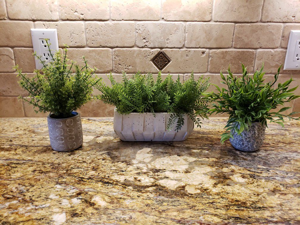 Set of three plants