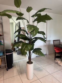 Fake plant