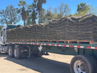 Sod $2 per sq/ ft