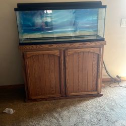 Aquarium.  50 Gallon With Cabinet