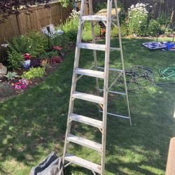 8’ Aluminum Ladder