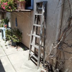 Ladder... Yard Art