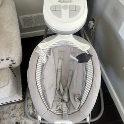 Graco 2 In 1 Swing 