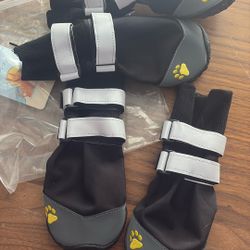 Dog Shoes Size 8
