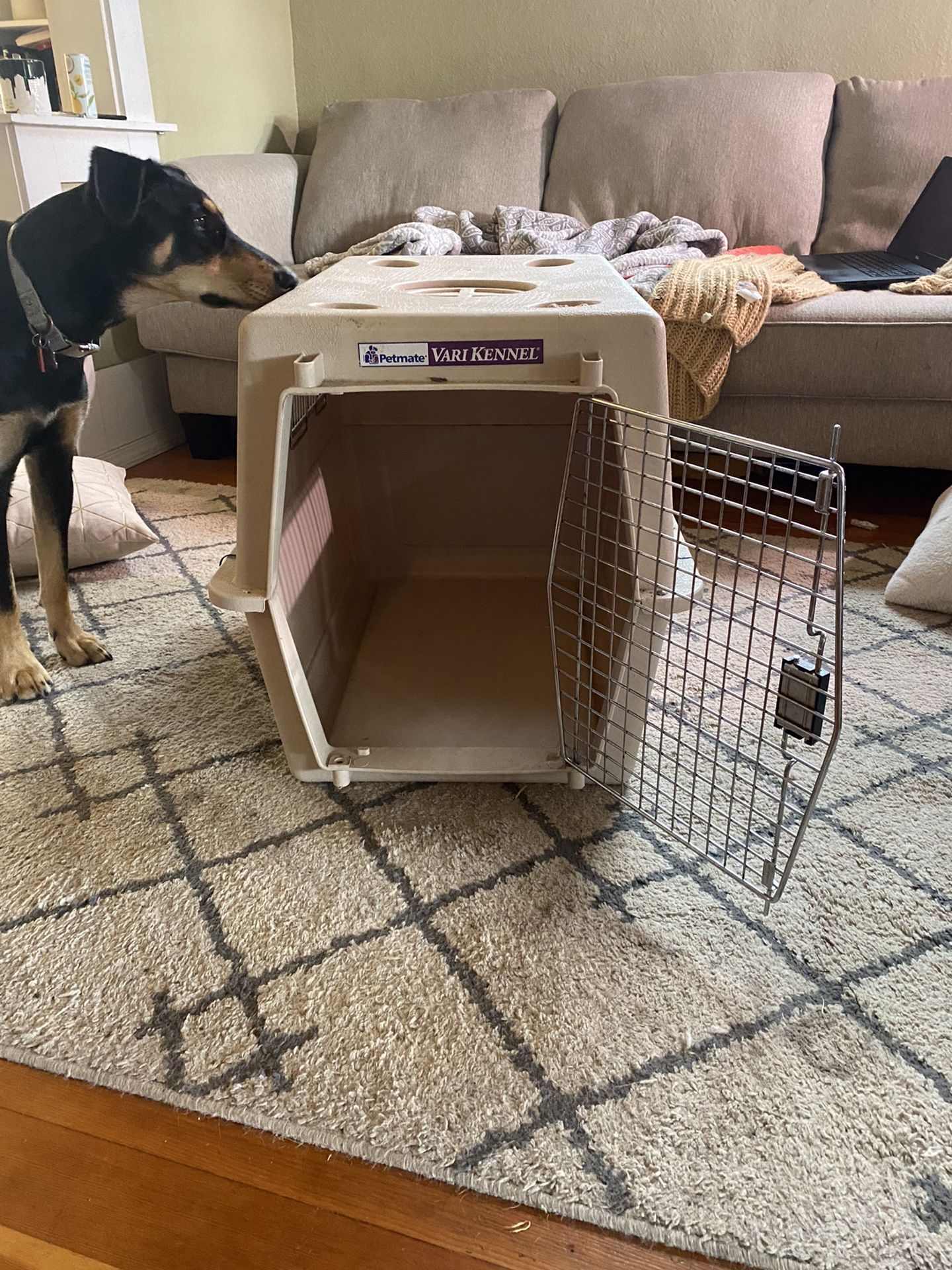 Dog Kennel