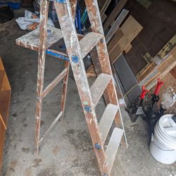 Old Dangerous Ladder