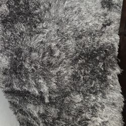 Shag Rug