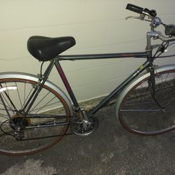 Schwinn cruiser