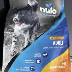 Premium And Regular Bags Of Dry Dog Food