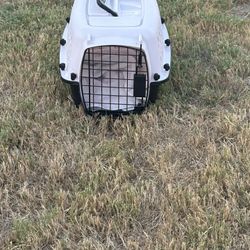 Small dog kennel