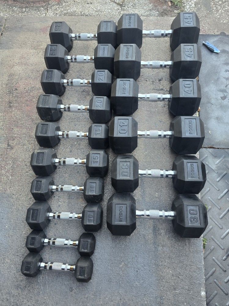 Weight Rogue Dumbbells