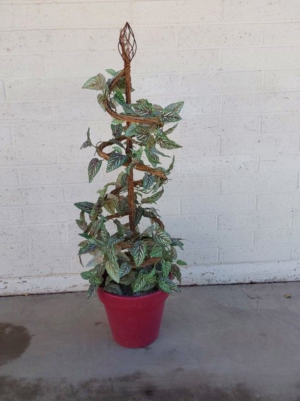 Silk Plant Topiary in Pot - $20
