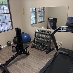 Gym Equipment 