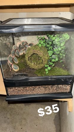 Reptile tanks
