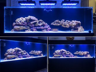 Aquarium