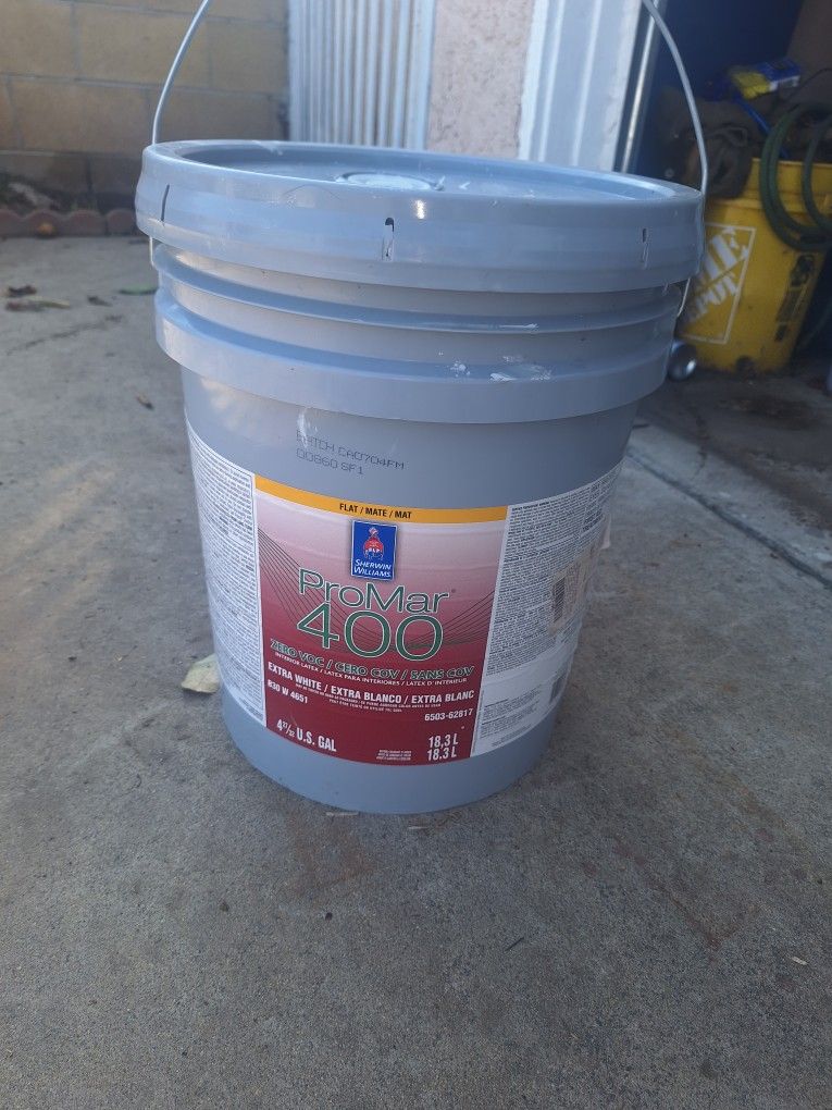 Pintura Nueva