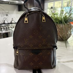 Louis Vuitton Palms Springs Pm 