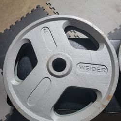 45lbs Olympic Weights 2inch Hole