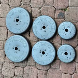 60 Lbs Weights 1"
