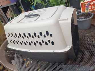 Dog kennel
