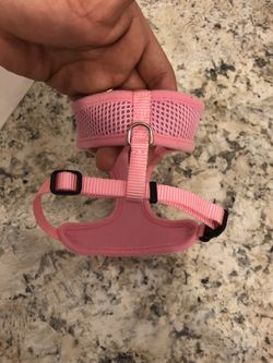 Xs dog leash, like new