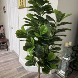 Pretty Artificial Plant 6 Ft Tall Fig Tree! Brand New