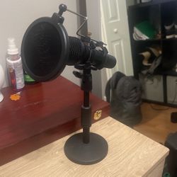 Professional Microphone