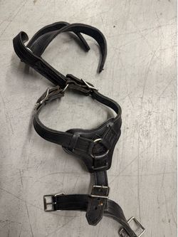 Dog Harnesses