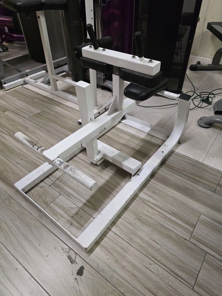 Maxicam Commercial Grade Seated Calf Gym Equipment Exercise Fitness Plate Loaded