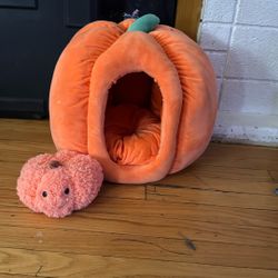 Small Dog Or Cat Pumpkin Bed