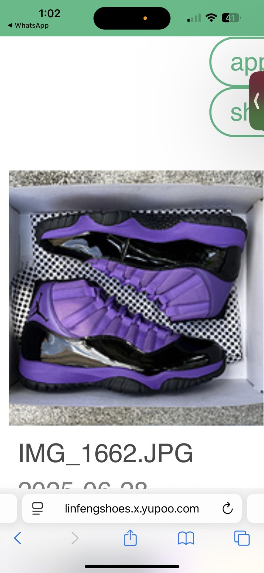 Air Jordan 11’s