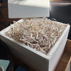 Excelsior for pack items for shipping