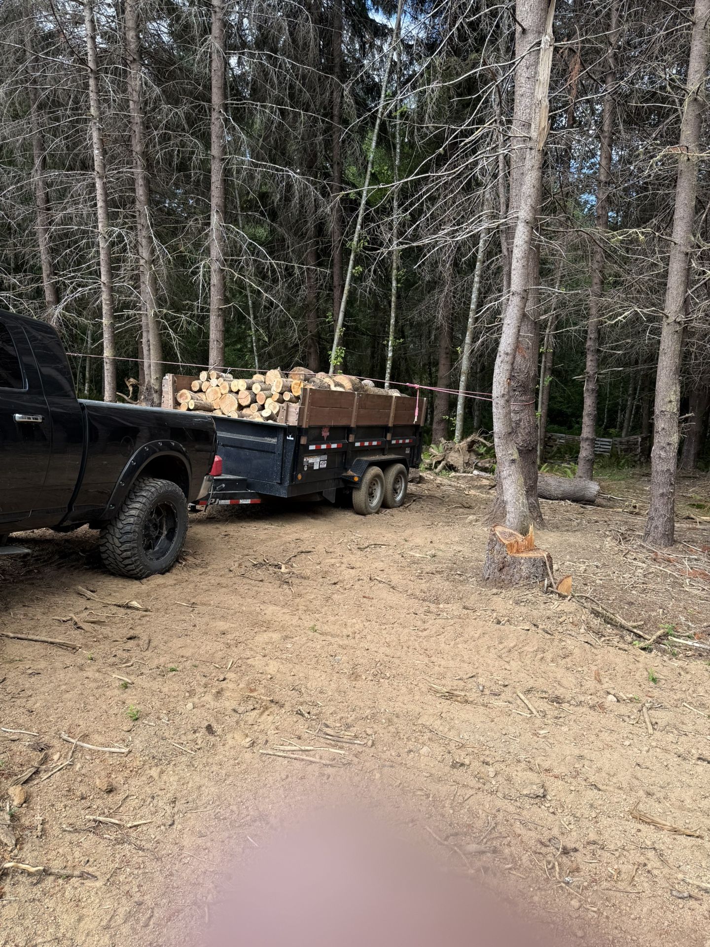 Seasoned Firewood