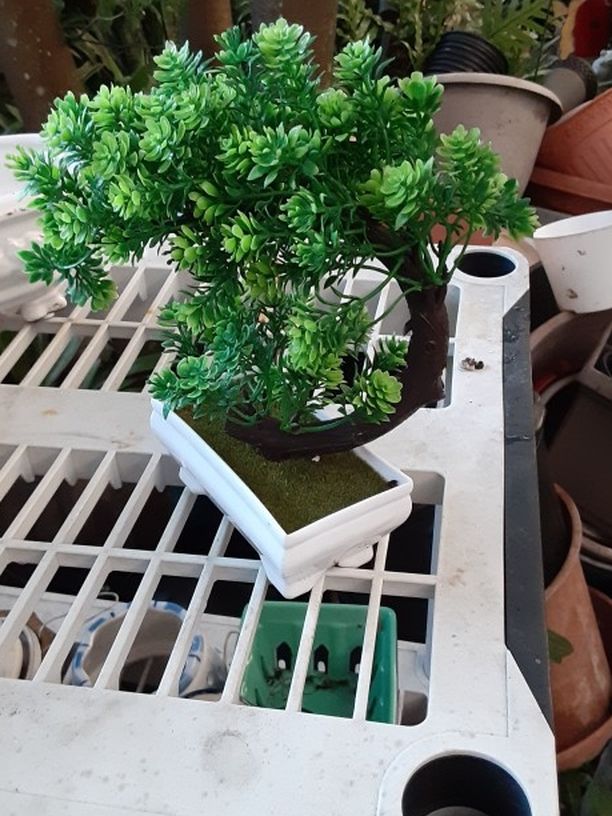 Artificial Bonsai Plant In Pot