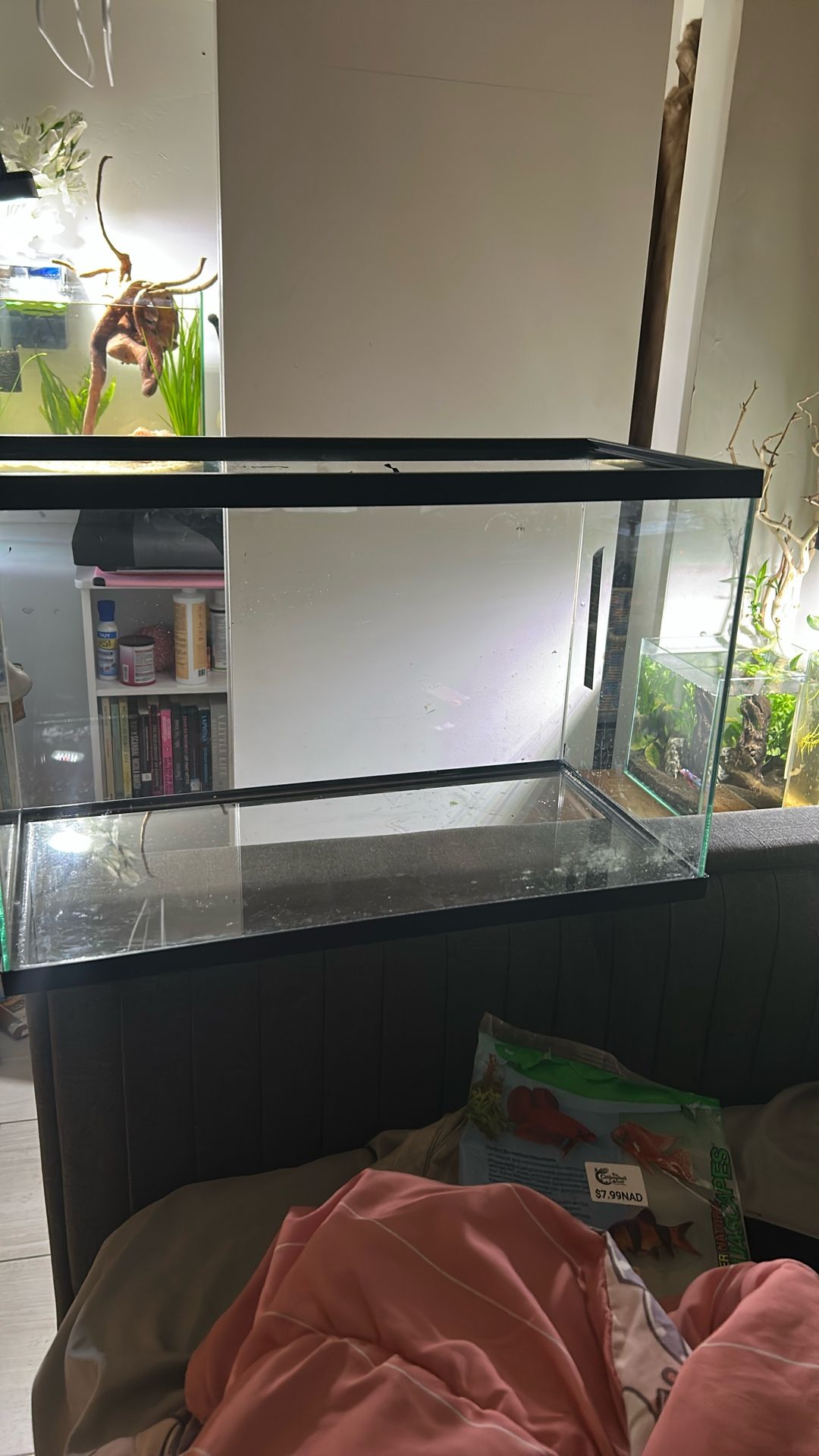 Fish Tank
