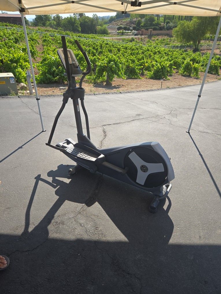Golds Gym Stride Trainer 595