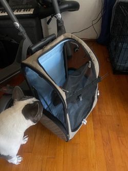 Pet wheely carrier / backpack