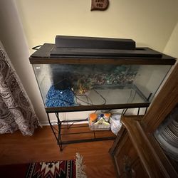 30 Gallons Fish Tank 