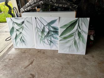 Picture frames 3