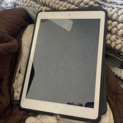 iPad Air With Case