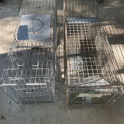 Animal/squirrel Traps