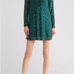 Green-Long Sleeve Sequin Dress from Nordstrom