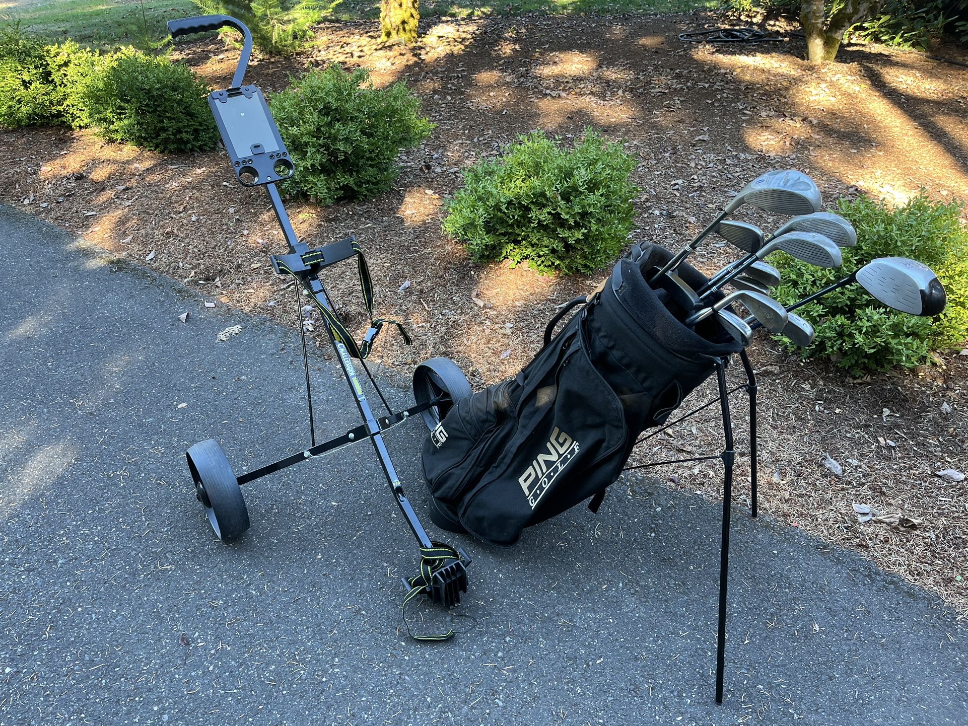 Golf Clubs With Cart